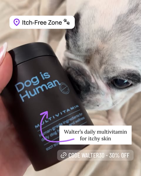 Walter Geoffrey ad