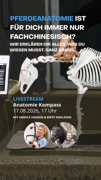 Annica Hansen ad