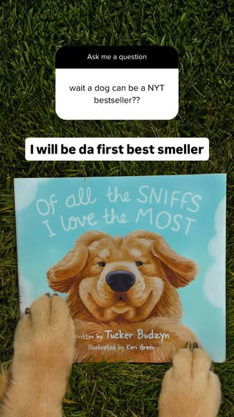 Tucker Budzyn ad