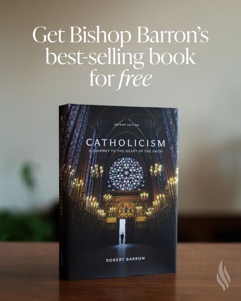 Bishop Robert Barron ad