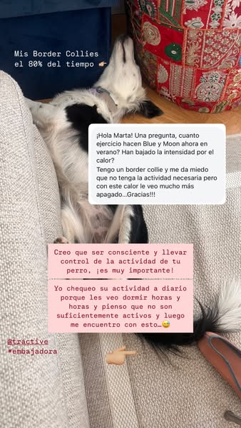 Marta the Dog Mom ad