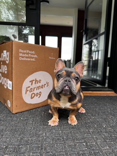 The Farmer’s Dog ad