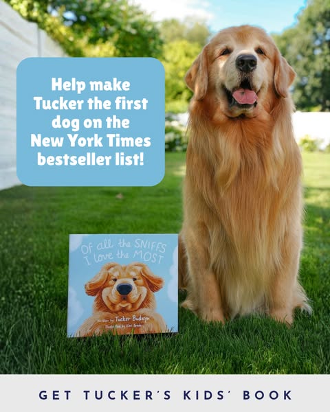 Tucker Budzyn ad
