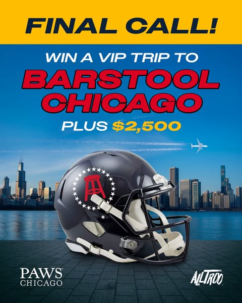 Dan Katz - Barstool Big Cat ad