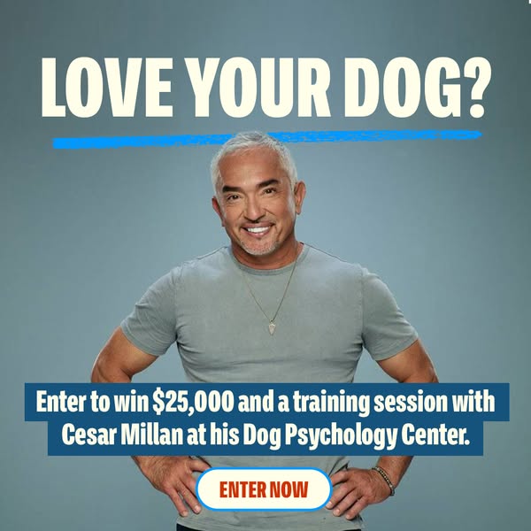 Cesar Millan ad