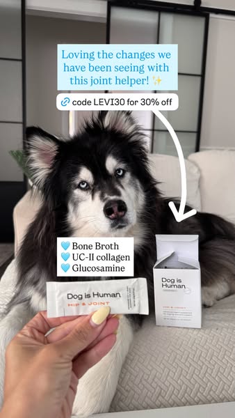 Levi the Husky Rescue ad