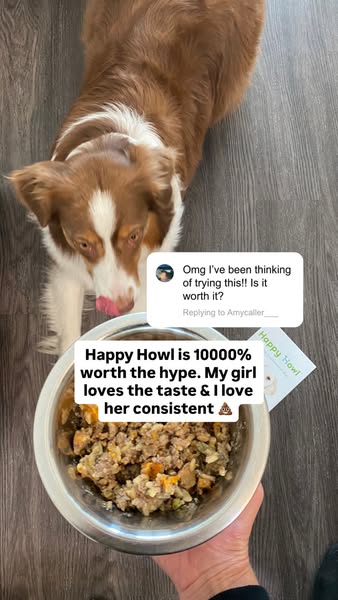 Happy Howl ad