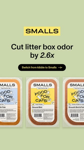 This image ad for Smalls cat food focuses on the benefit of reducing litter box odor by switching from kibble to Smalls.