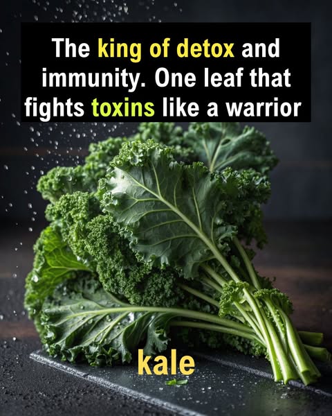 Wellness Idea ad