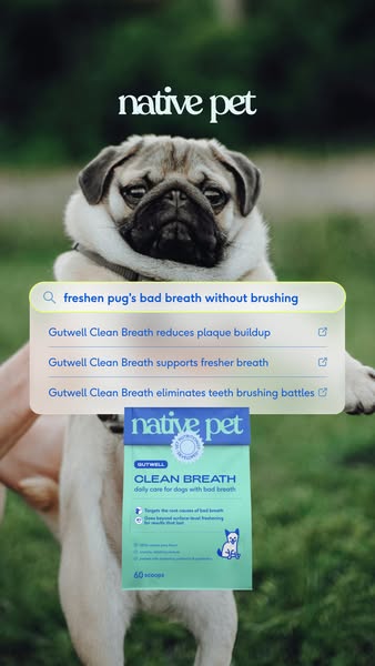 This image ad features a pug, an arm holding a pouch of Native Pet Clean Breath daily care for dogs with bad breath, and
