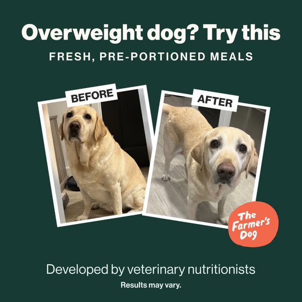 This ad for The Farmer's Dog targets owners of overweight dogs. It uses a before-and-after format to showcase the po