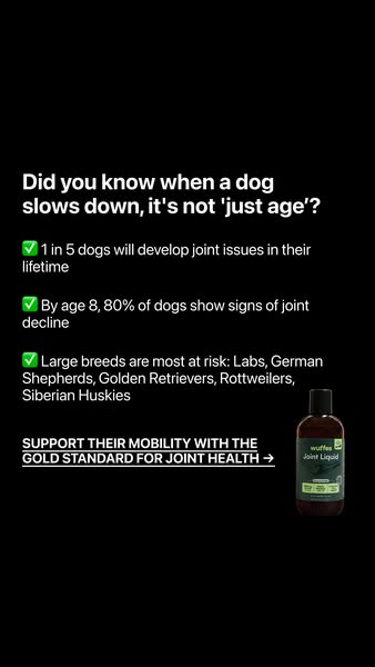 This ad informs the viewer that joint issues are a common problem in dogs. It is more likely to develop as they age. The