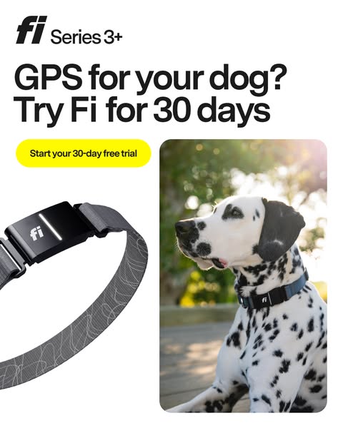 This ad promotes Fi GPS dog collars by highlighting the product and offering a 30-day free trial.