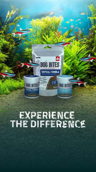 This ad showcases Fluval Bug Bites Tropical Formula fish food. The ad emphasizes the difference in fish food quality and