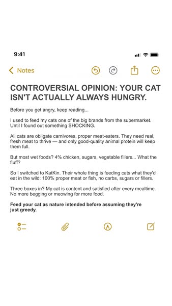 This ad uses a screenshot of a note to present a controversial opinion about cat food and promote KatKin as a healthier 