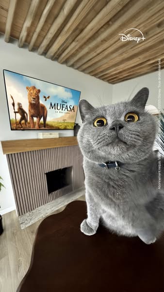 Aaron's Animals ad