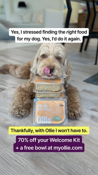 Sampson the dood ad