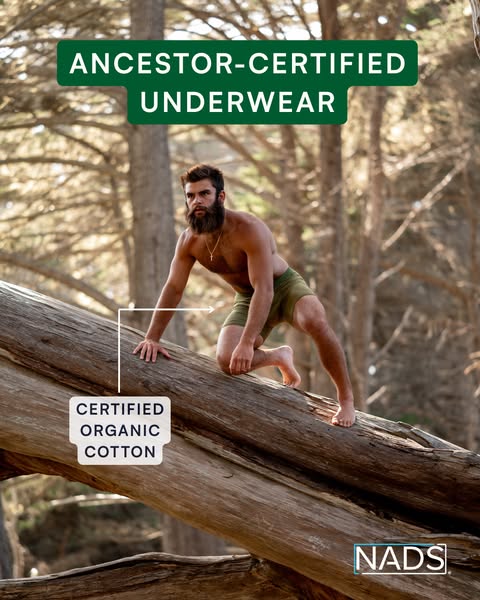 Luca Padua ad
