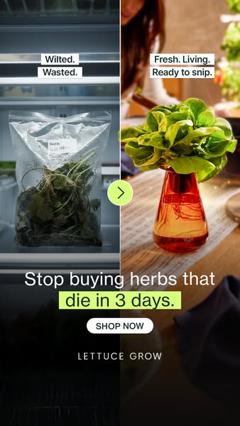 This ad uses a split screen to compare wilted herbs in a bag to fresh herbs in a vase, highlighting the benefits of Lett