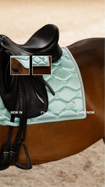 This ad showcases a light-blue saddle pad with the brand name PS of Sweden. The ad features close-up shots of the saddle