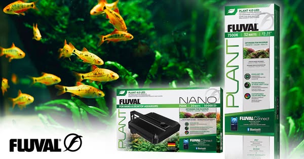 This image ad showcases Fluval's Plant 4.0 LED and Nano aquarium lights, emphasizing their ability to optimize plant