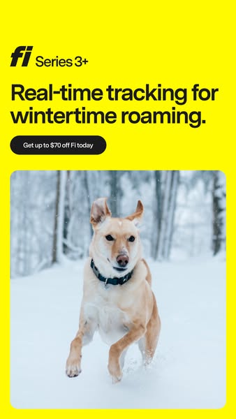 This image ad for Fi promotes real-time tracking for dogs during the winter. It features a dog running through the snow 