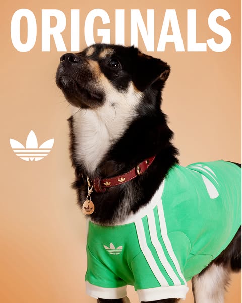 adidas ad