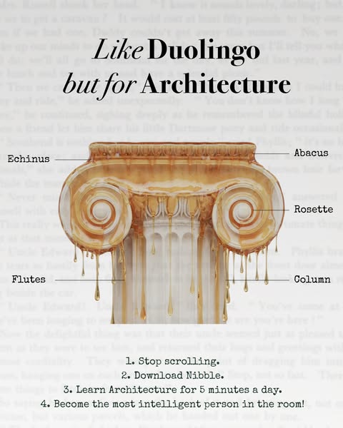 This ad compares Nibble to Duolingo, but for architecture. It shows an image of a column with architectural terms labele