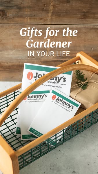 This ad showcases Johnny's Selected Seeds as a gift for gardeners, featuring seed packets and a wrapped gift in a ru