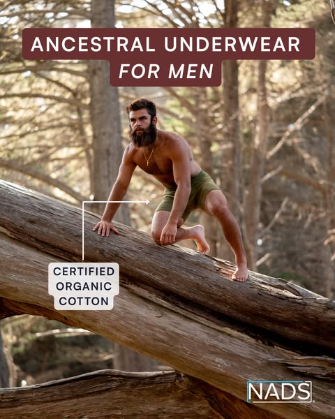 Luca Padua ad