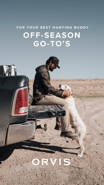 This ad highlights off-season hunting gear for hunting dogs from Orvis.