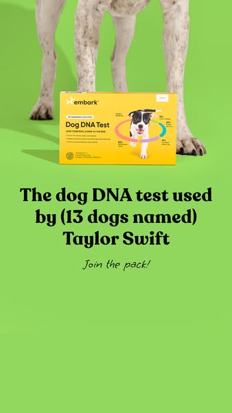 This ad features the Embark Dog DNA test, highlighted with the humorous social proof that even dogs named after Taylor S
