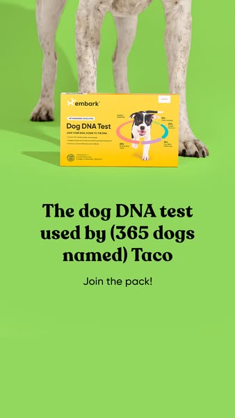 This ad uses humor to make the point that even dogs named Taco have been DNA tested with Embark, suggesting that it is a
