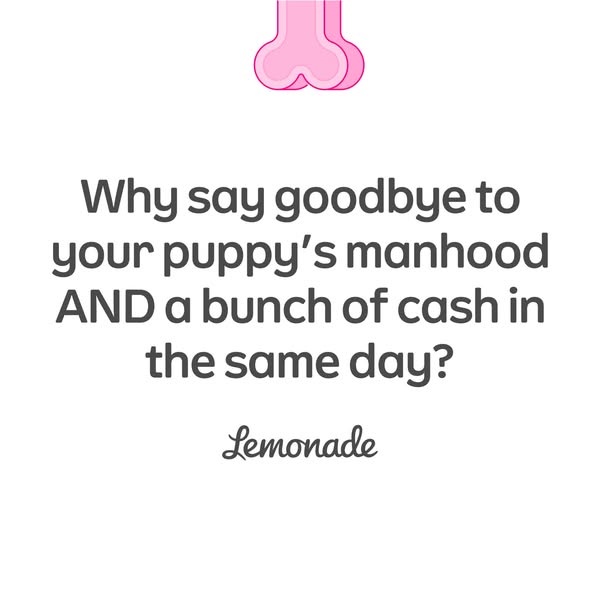 This ad uses a question to highlight the cost of pet care and position Lemonade as a cost-effective alternative.