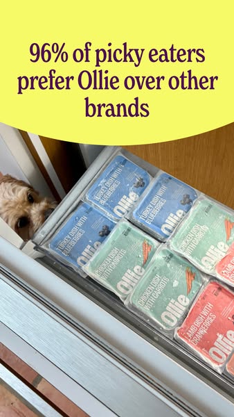 This image ad for Ollie dog food presents a statistic that 96% of picky eaters prefer Ollie over other brands. The ad fe