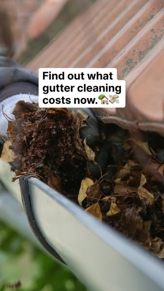 This ad highlights the problem of clogged gutters filled with leaves and debris, then prompts the viewer to find out the