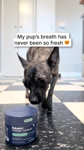 goobythechi ad
