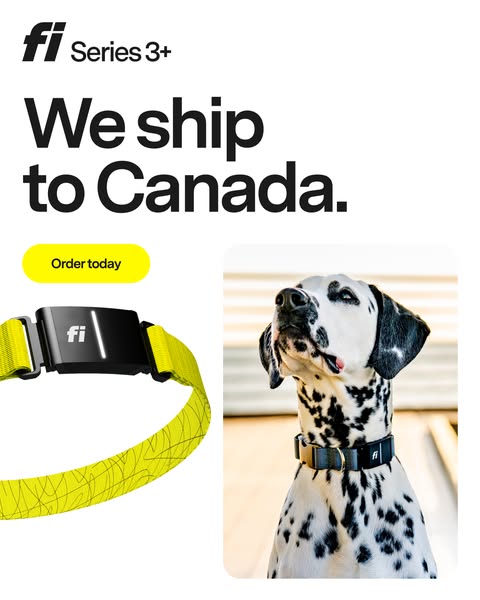 This ad is for Fi Series 3+ smart dog collars and informs potential Canadian customers that Fi now ships to Canada. The 