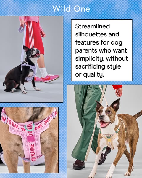 This ad for Wild One dog harnesses features a combination of lifestyle shots and concise text to convey the brand's 