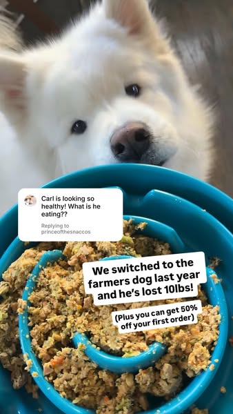 Carl The Sammy ad