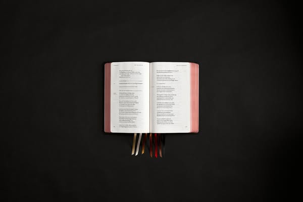 Bishop Robert Barron ad