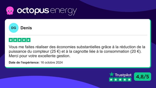 This ad features a customer testimonial for Octopus Energy, highlighting the savings achieved through reduced meter powe