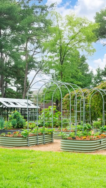 Vego Garden ad