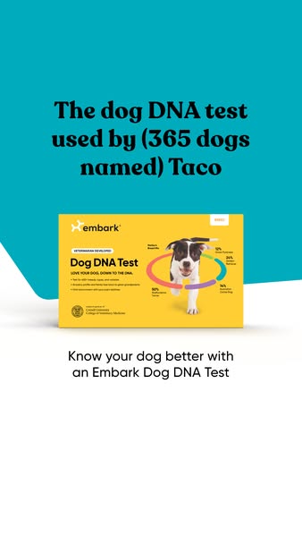 This ad promotes the Embark Dog DNA test by highlighting its use by other dog owners, including those with dogs named Ta