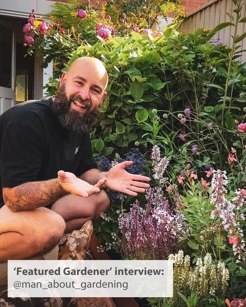man_about_gardening ad