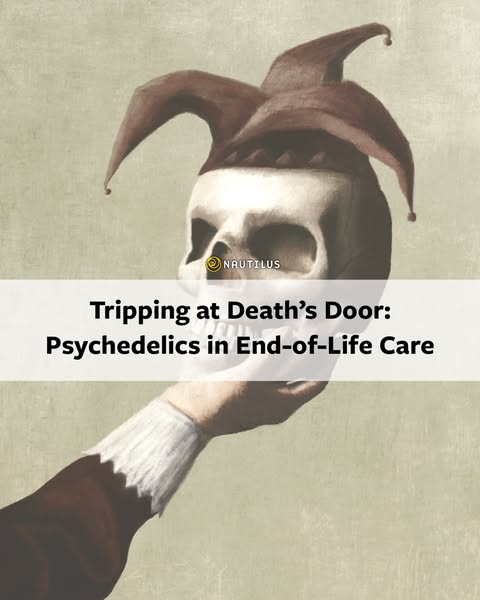 The ad promotes an article titled "Tripping at Death's Door: Psychedelics in End-of-Life Care" from Nautil