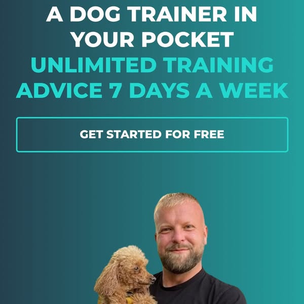 SouthendDogTraining ad