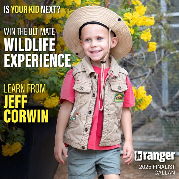 Jr. Ranger ad