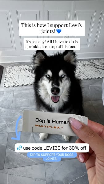 Levi the Husky Rescue ad