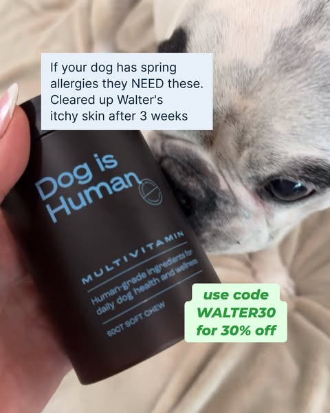 Walter Geoffrey ad